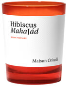 Hibiscus Mahajád